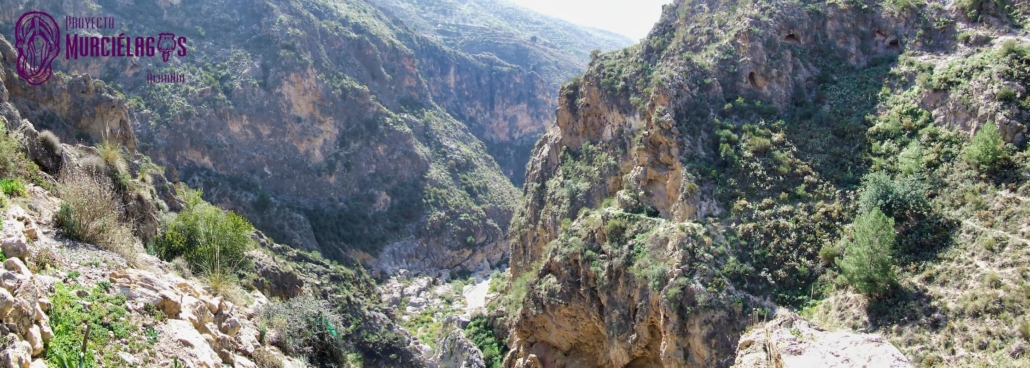 Panorámica de la Cueva de los Murciélagos de Albuñol.